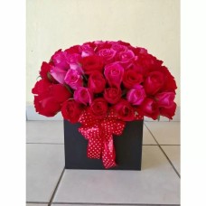 Passion Passion (With 120 Roses)